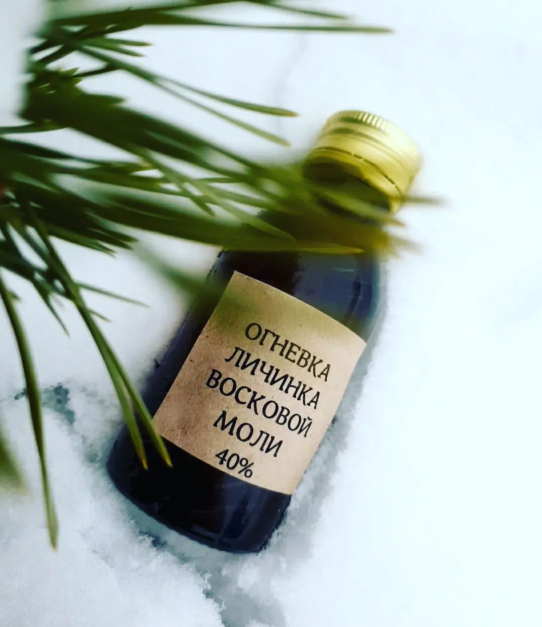 honey_from_a_bear in LOOKY. #орехивмеду,#орехивмедупермь,#орехивмедупермь,#полезнаясладостьпермь,#медпермь,#подаркипермь,#подарки,#подаркинаноыйгод,#пермь,#2022,#новыйгодпермь,#новыйгод2022
#самогон,#медовыйсэм,#напиткипокрепче,#подарокколлеге,#подарокучителю,#огневка,#личинкавосковоймоли. ОГНЕВКА

Настойка ли...