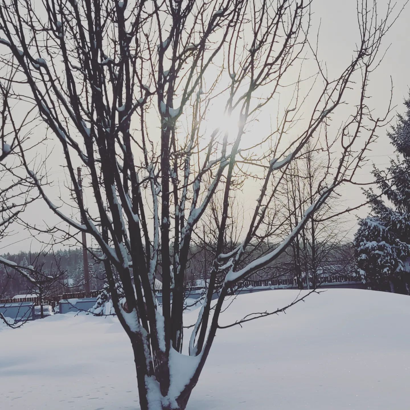 a_liliya_g в LOOKY. #МногоСнегаКайф,#ДачаЧача,#МестоСилы. Классная зима❄️❄️❄️ ...