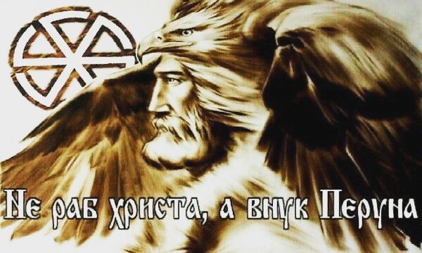 chef_alikoshnin в LOOKY. . null