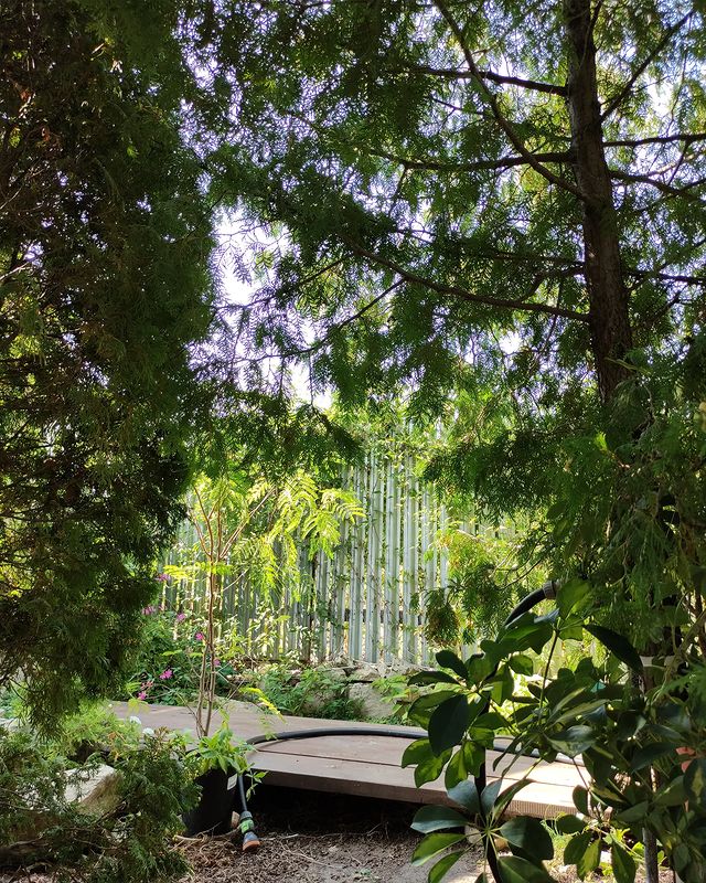 Елизавета Сергеевна в LOOKY. #bloggers,#blog,#blogpromotion,#lifestyleblog,#village,#writersblock,#instablog,#prose,#writerlife,#writersofig,#villagelife,#instawriters,#typewriter,#summer,#garden,#mycreativebiz,#wordgasm,#wordporn,#words,#writtenword. Одно из моих самых л...