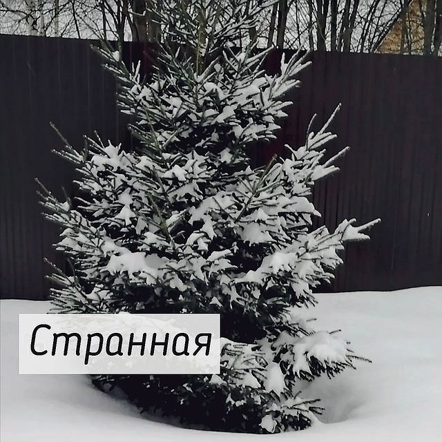 irina_kondrashovaa в LOOKY. . Спасибо за твое ❤️
⠀...