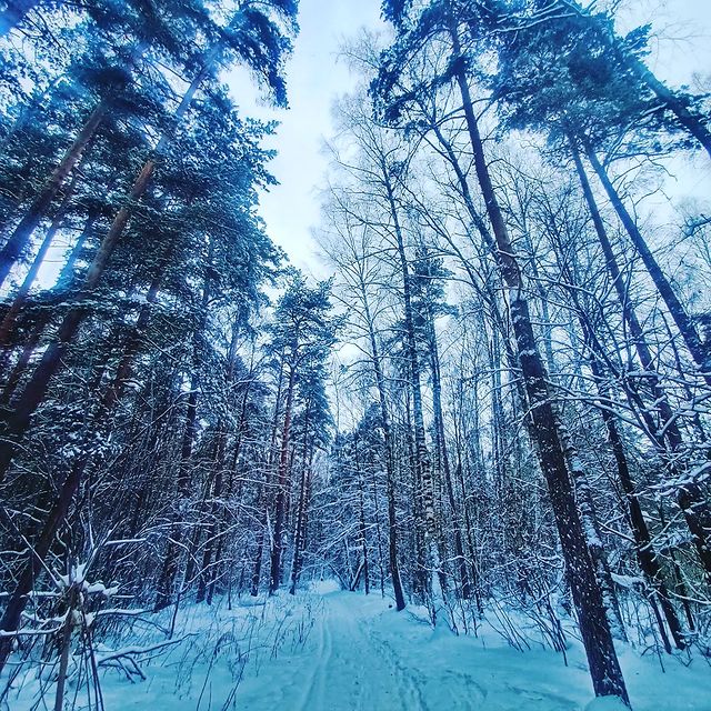 k.a.ryzhikov в LOOKY. #красиво,#россияэтокрасиво,#прогулка,#лыжибеговые. Очень живописные мес...