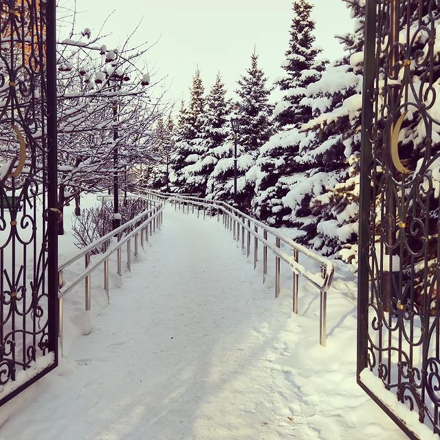 likobzareva в LOOKY. . ❄️