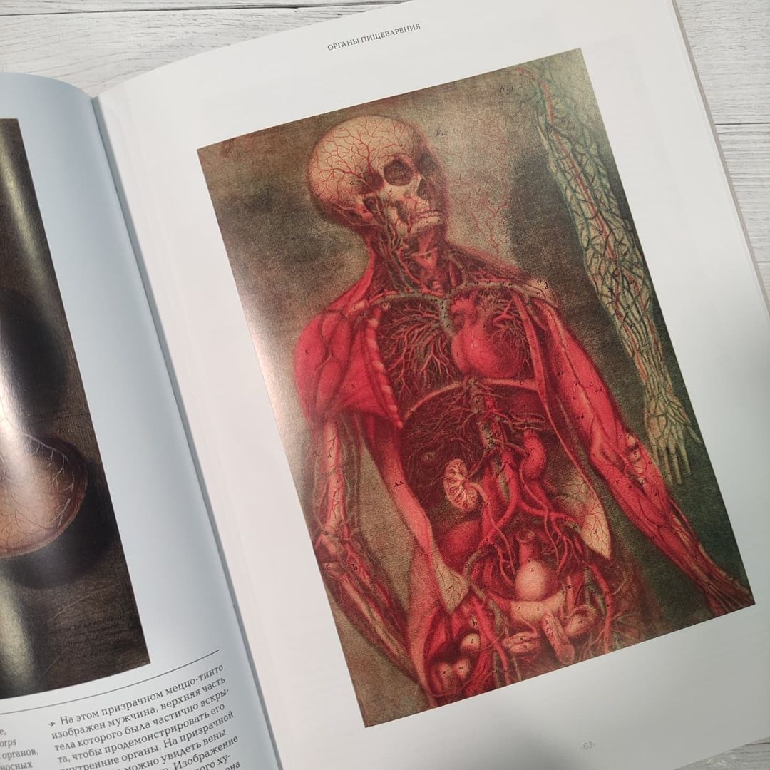 maxolinart в LOOKY — фото 7
