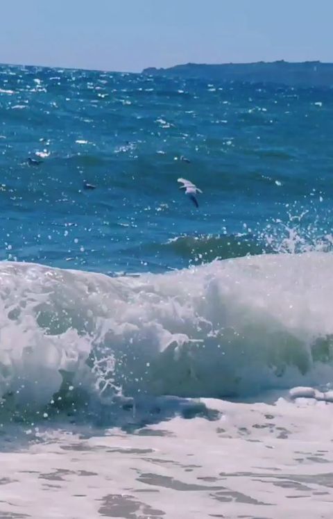 karin_chik в LOOKY. . 🌊