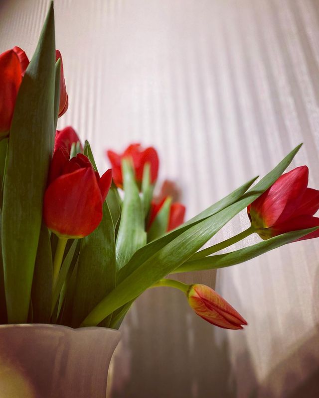 olivia_nik в LOOKY. . Что-то как-то весной...