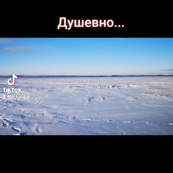 nero_fish в LOOKY. . null