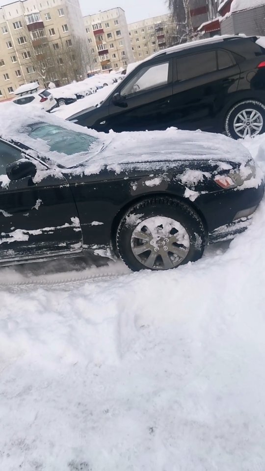 vv_arefev в LOOKY. . Он живой😵