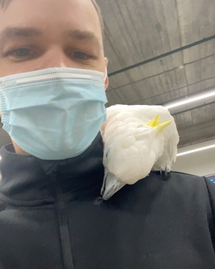 dmitrymxmv в LOOKY. . 🦜