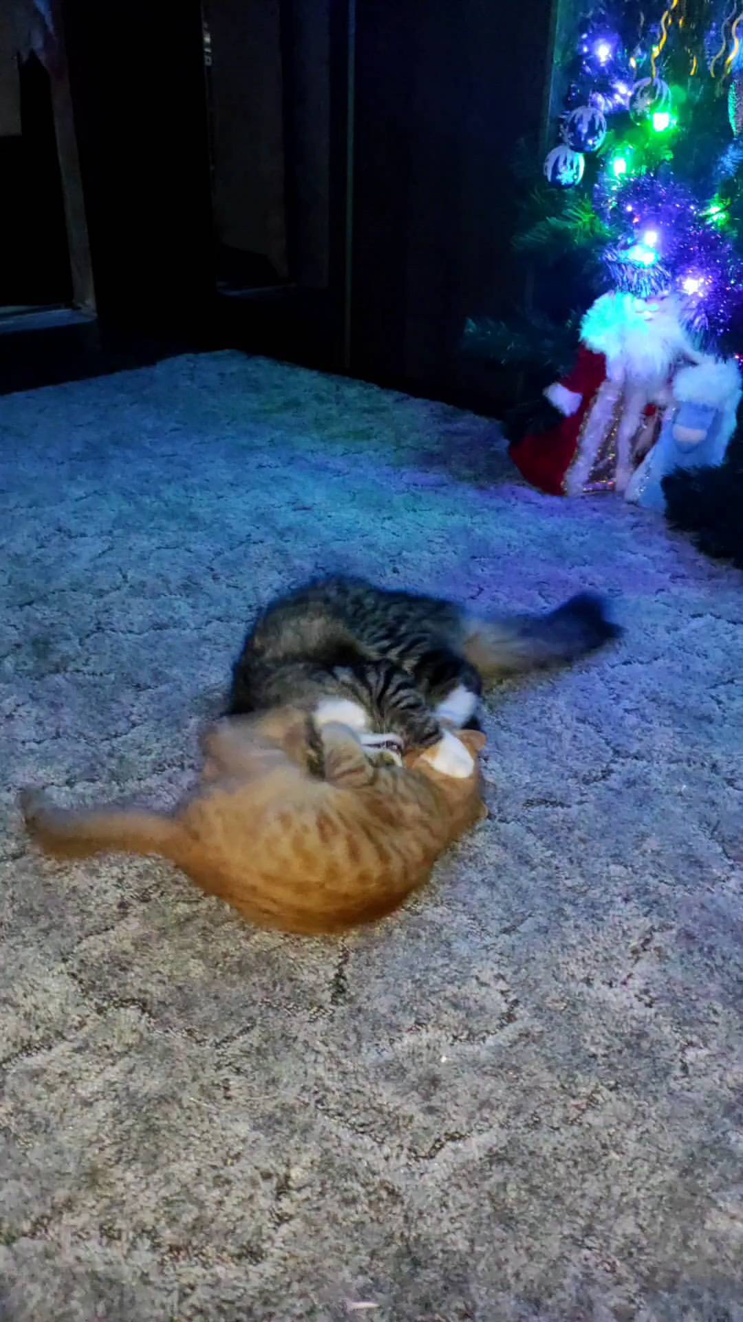 tasya.mouse в LOOKY. . null