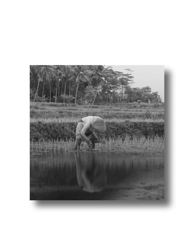 anakibu___3 в LOOKY. #potraitphotography,#humaninterestphotography,#stilllifephotography,#photojournalist,#phonephotography,#streetphotography,#lfl💛,#lfl💛lfllflfllffllflflflflflflflflfllflflflflflflflflflflflflflflflflflflflflflflflflflflflflfllflflflflflflflflfllflfllflflflflflflfllflflflflflllfl,#monochrome,#bnw,#bwtrip,#bw_captures,#bw_shotz,#bwinstagram,#bwstreet,#bnwphotography,#bnwmood,#whiteandblack,#blackandwhitearchitecture,#blacknwhite,#black,#monochromatic,#mood,#alone,#lost,#🖤🤍,#🖤. Terima kasih dan moh...