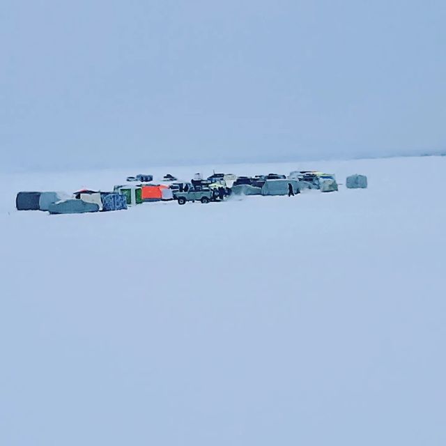 zahar.suzdalovsd в LOOKY. . Балыка нет эбит🤣
