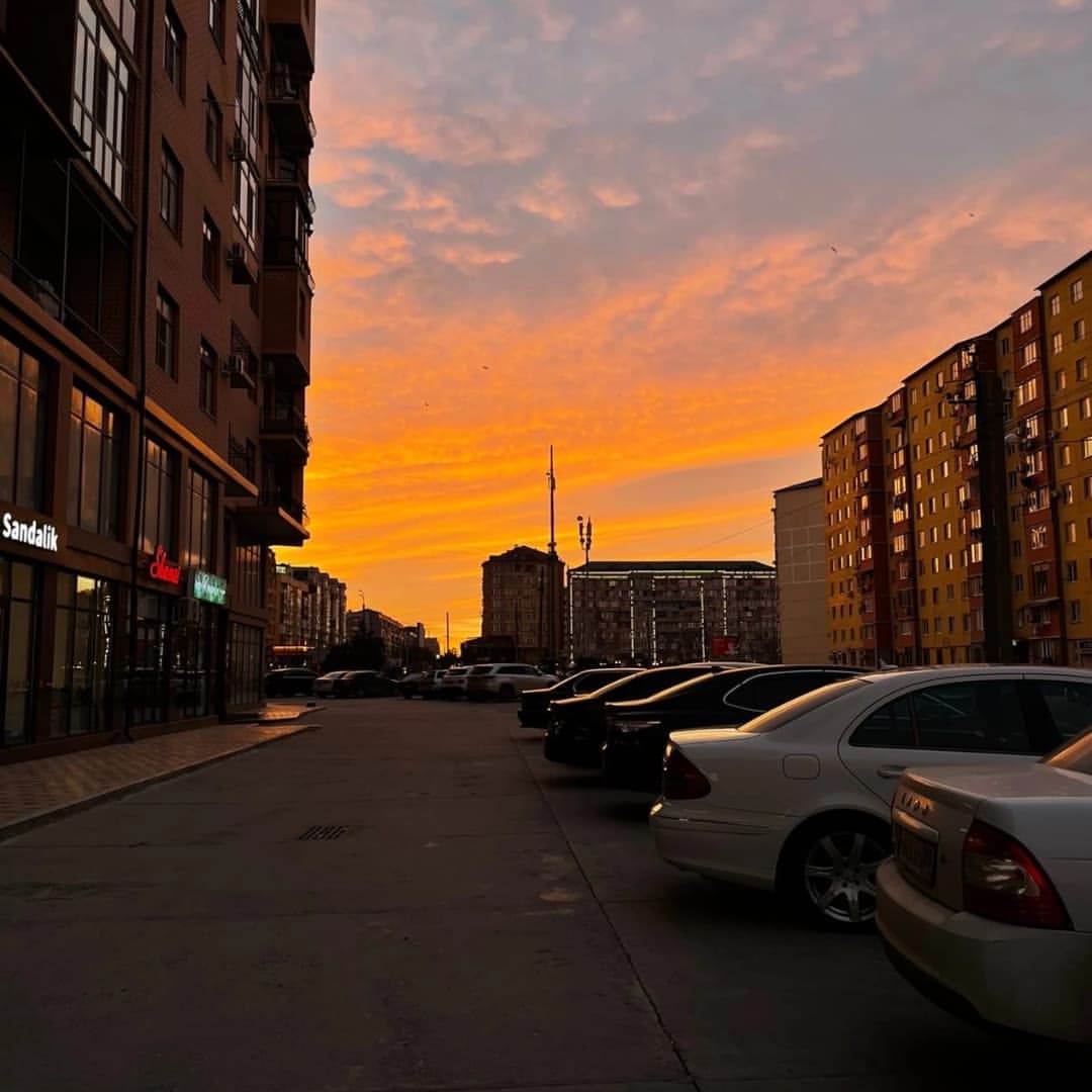dalgat_majidov в LOOKY — публикация