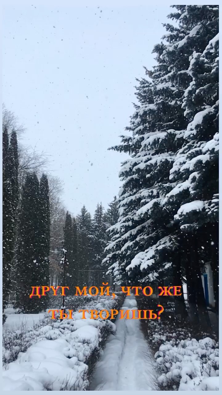 aly_antonyan_ в LOOKY. . ✨❄️
