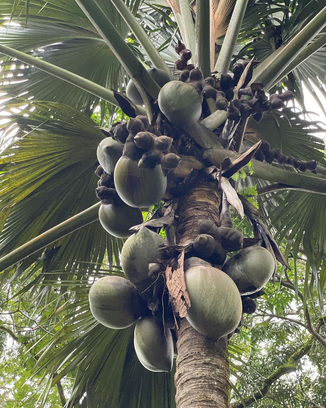 ssv_stukalova в LOOKY — фото 8