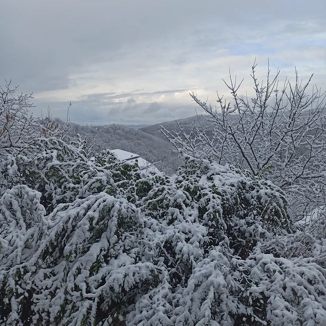 smithvorontsov в LOOKY. #winter,#mountains,#2022,#blacksea,#sochi. Что-то в этом, всё-т...