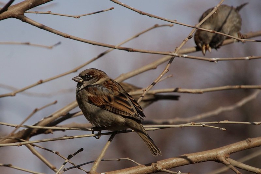 alexeevayulia в LOOKY — фото 6