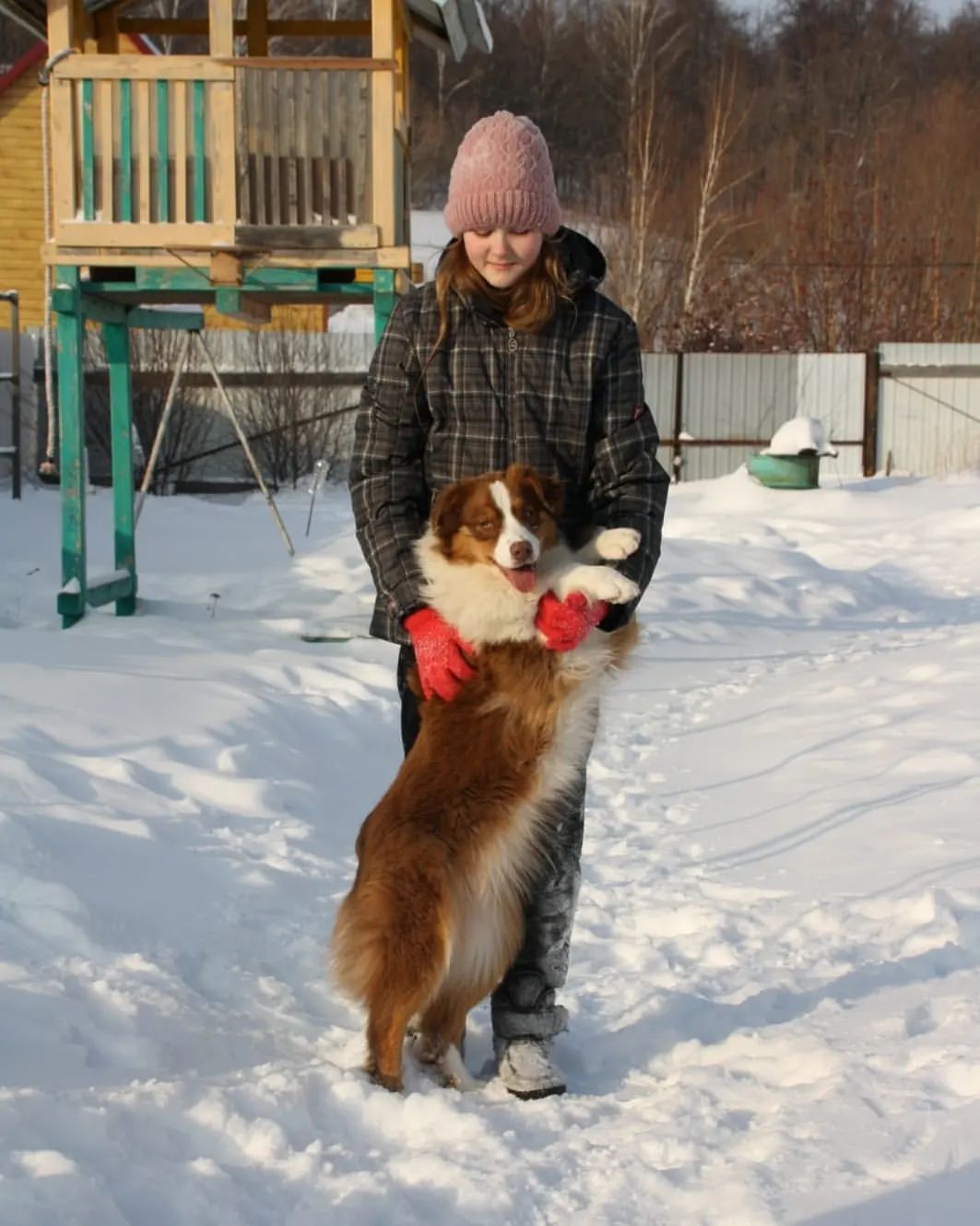 iz_doma_korolevoi_kennel в LOOKY — фото 2