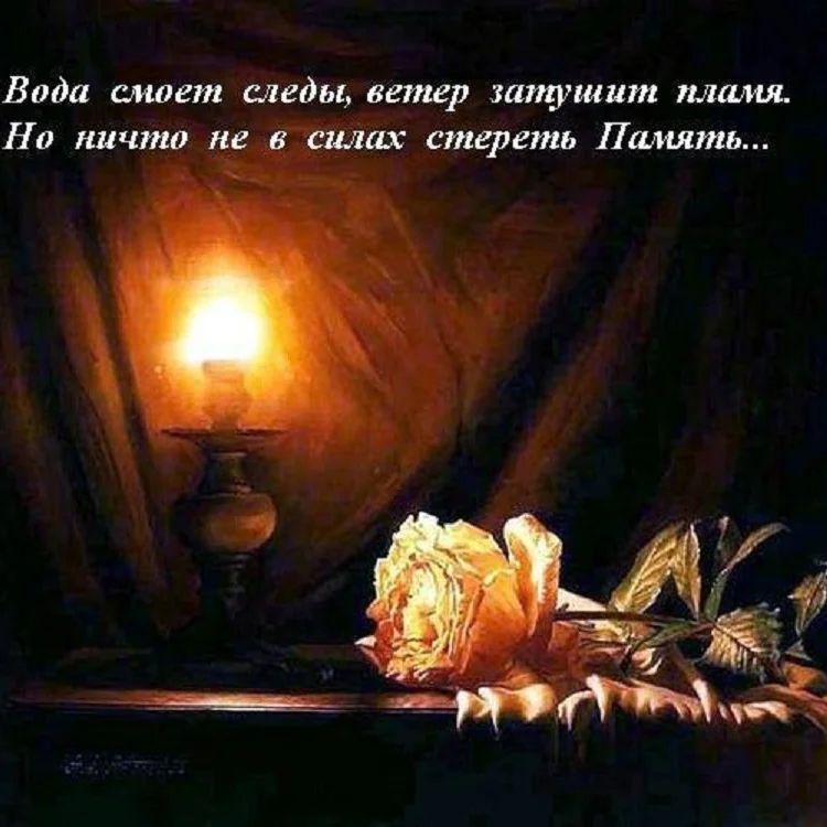 olga.plotnikova.00