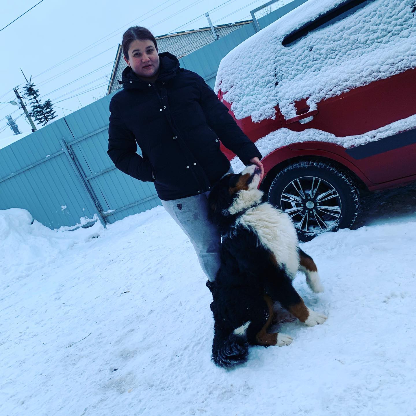 astralistika в LOOKY. . null