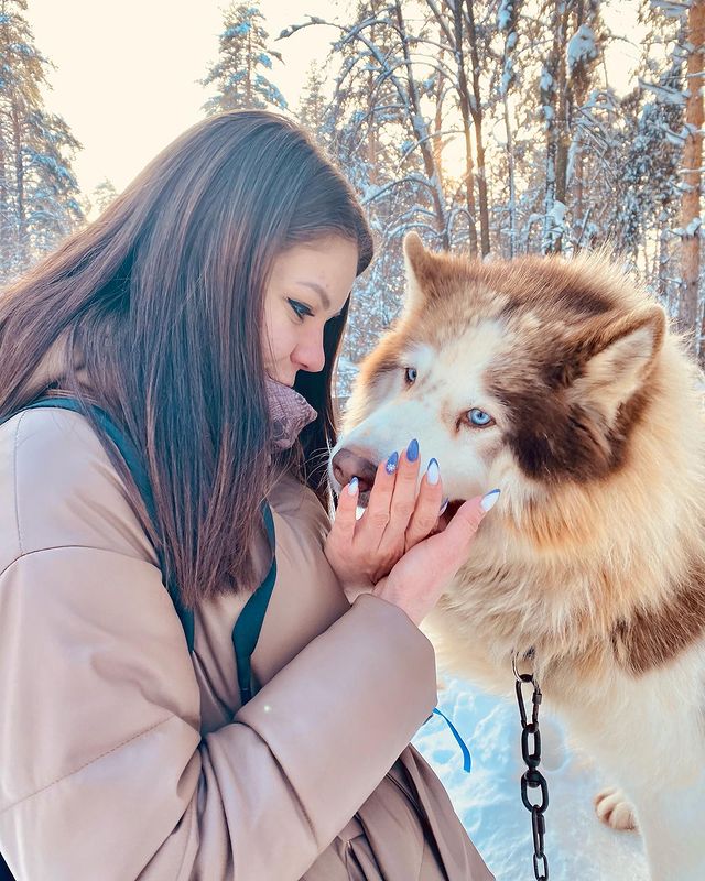 _kris_koroleva_ в LOOKY. #собака,#другчеловека,#серебросевера,#ездовыесобаки,#сибирскийхаски,#аляскинскийхаски. Собака - частичка мо...