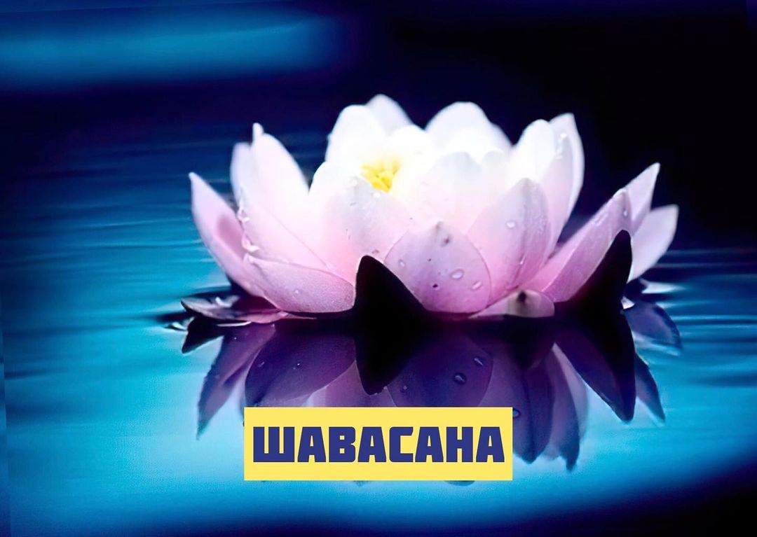 healing__vibration в LOOKY — Шавасана

Медитация глубокого расслабления🔆

На наших практ