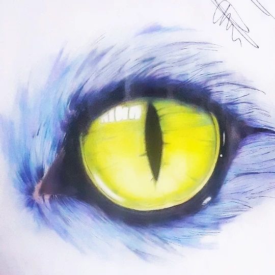 gearless_naked_boy в LOOKY. #eyedrawing,#oeildessin,#eyeillustration,#oeildechat,#cateyedrawing. hello everyone good ...