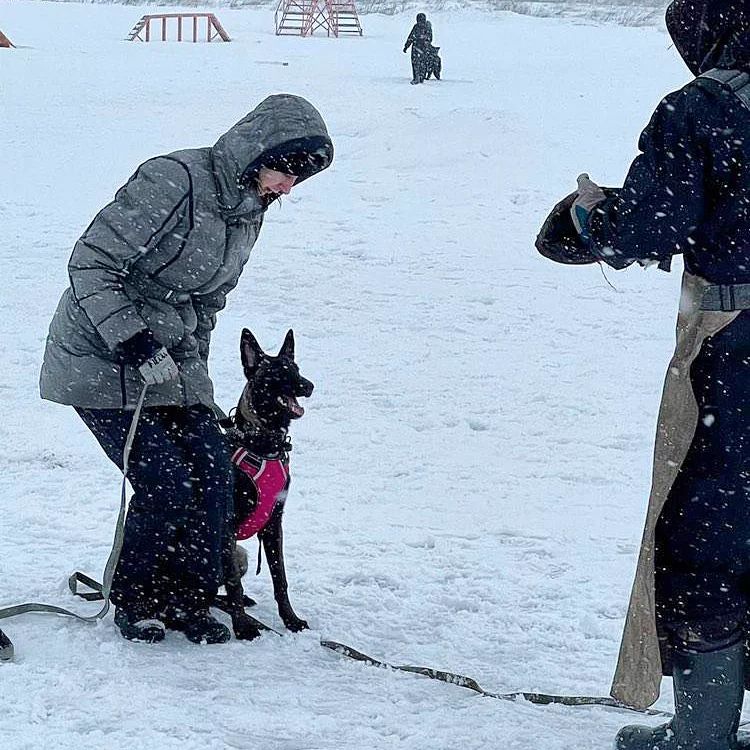 bikej_dogs94 в LOOKY — фото 3