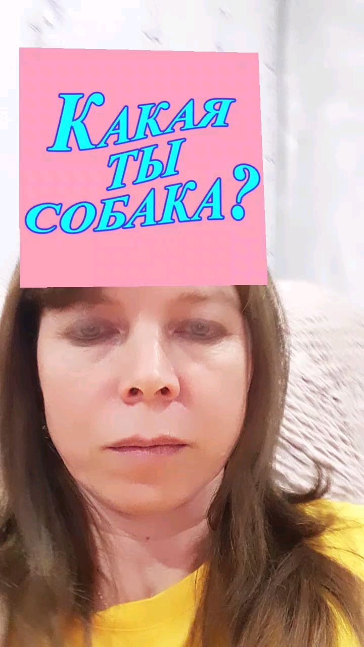 alsumuz в LOOKY. . Нежданчик🤣