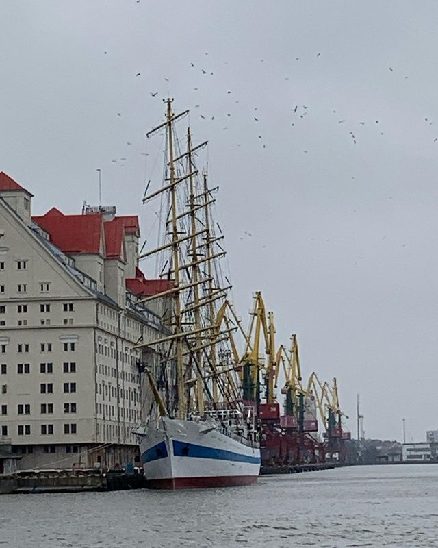 denbadro в LOOKY. . «Крузенштерн», «Седо...