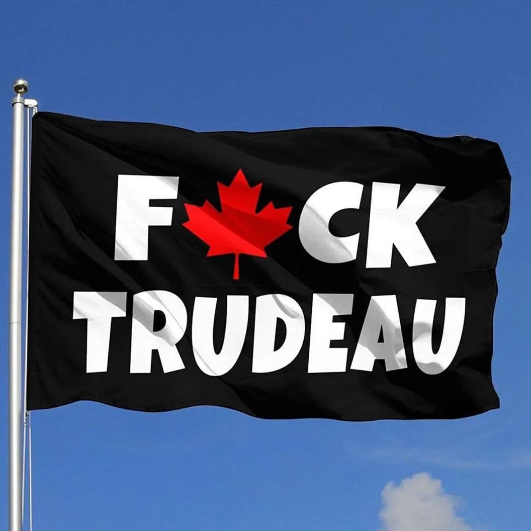 den_de_kraft in LOOKY. #fucktrudeau,#freedomconvoy2022,#canada,#ottawa,#trudeau. the collection of ga...