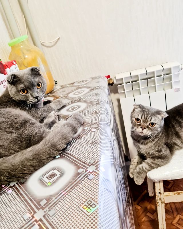 kriss_fetisova_ в LOOKY. . Живчики - позитивчик...