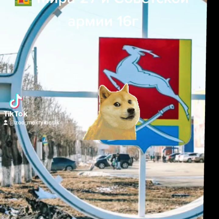 mokryinosik в LOOKY. . Большое поступление ...