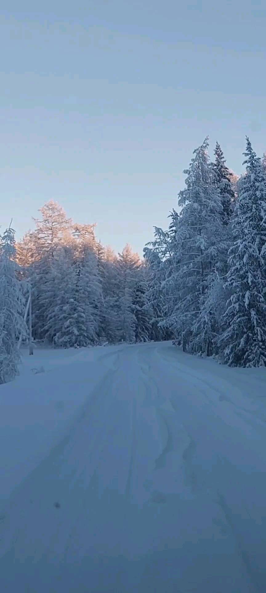 gurievaanna в LOOKY. . null