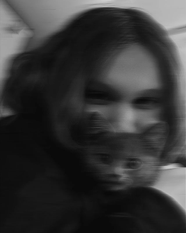 vlrk_0 в LOOKY. . null