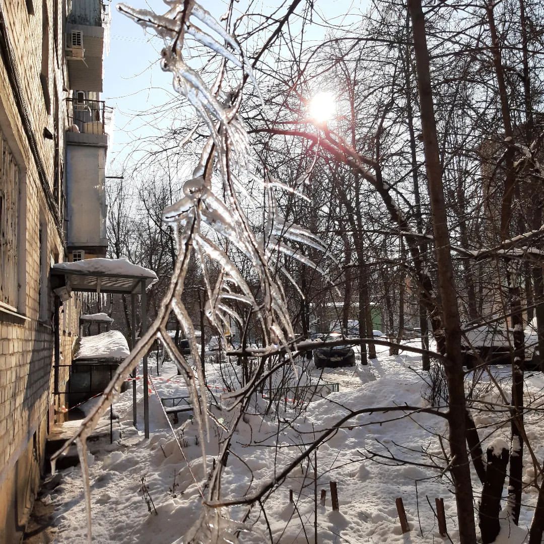 jettinvrn в LOOKY — Мороз и солнце день чудесный #зима2022
