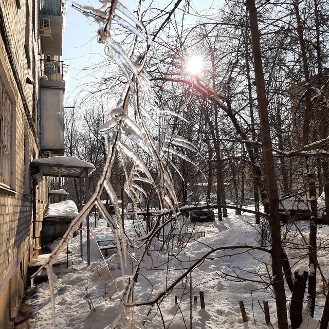 jettinvrn в LOOKY. #зима2022. Мороз и солнце день ...