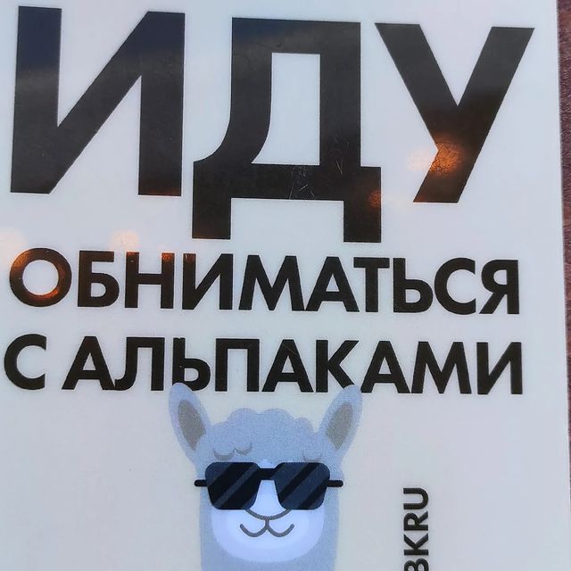 dantesss23 в LOOKY. #любимаясемья#выходные#альпака#белыйколодец#жизньудалась. #любимаясемья#выходн...