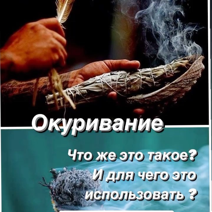 nadejda_cherna9 в LOOKY. . Полынь одна из сильн...