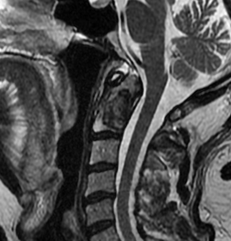 russianradiology в LOOKY — фото 6