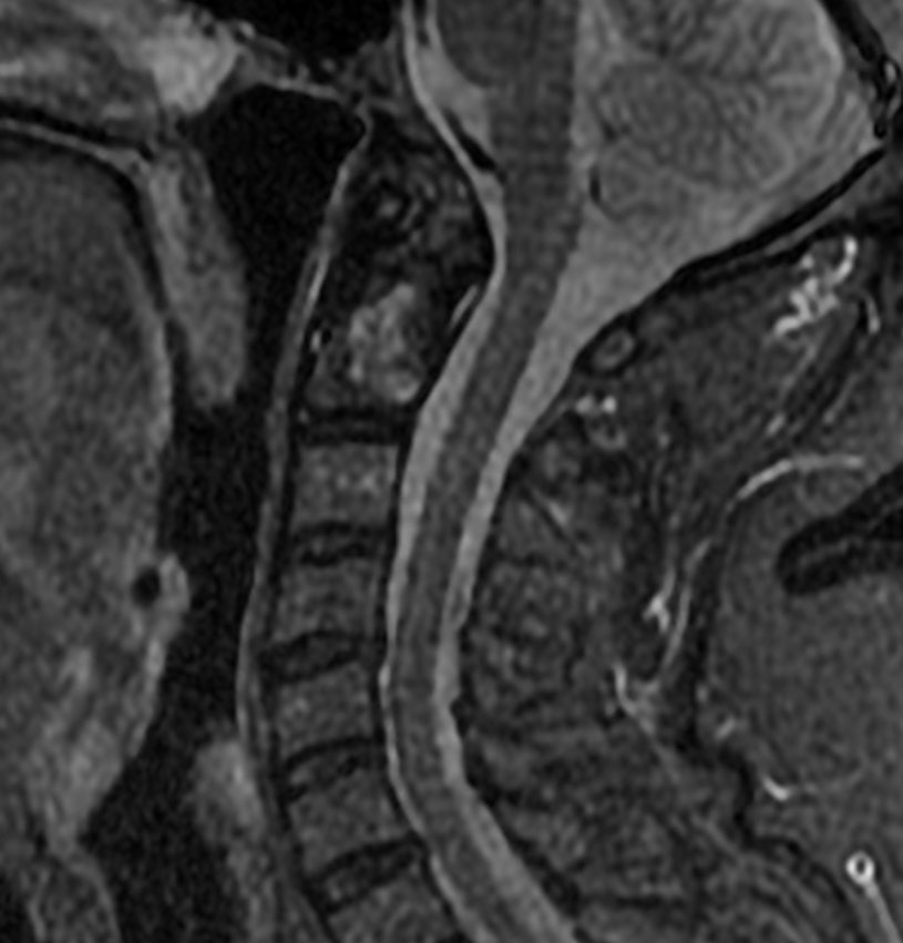 russianradiology в LOOKY — фото 4