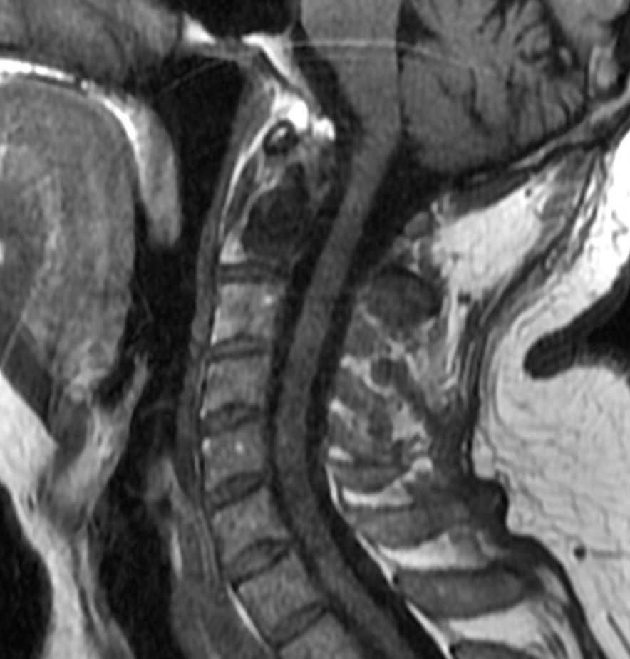 russianradiology в LOOKY — фото 5
