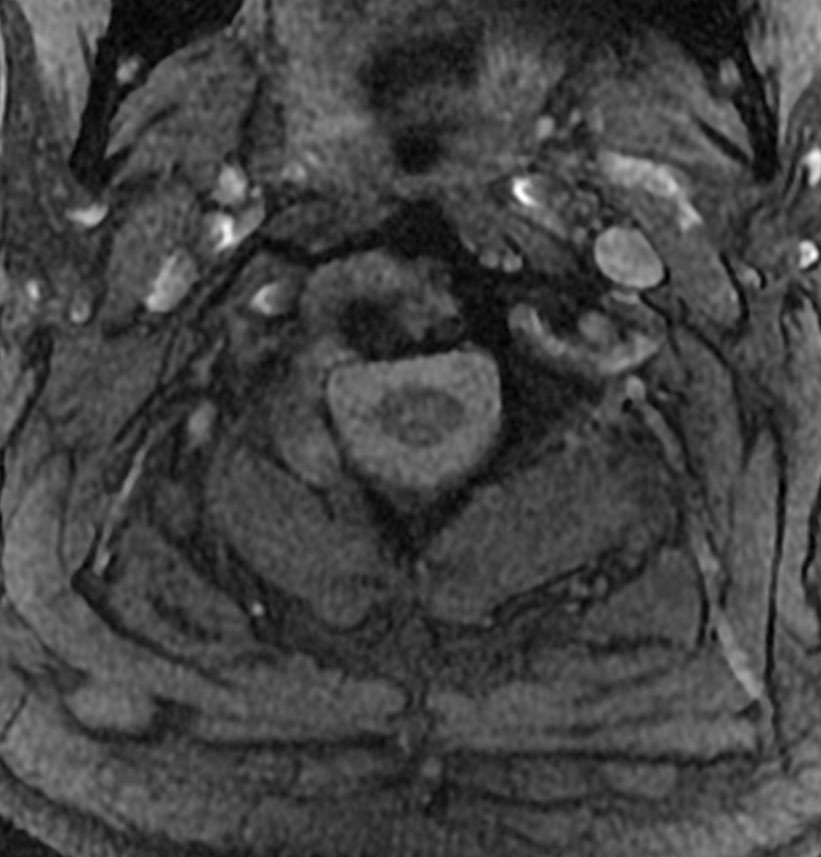russianradiology в LOOKY — фото 8