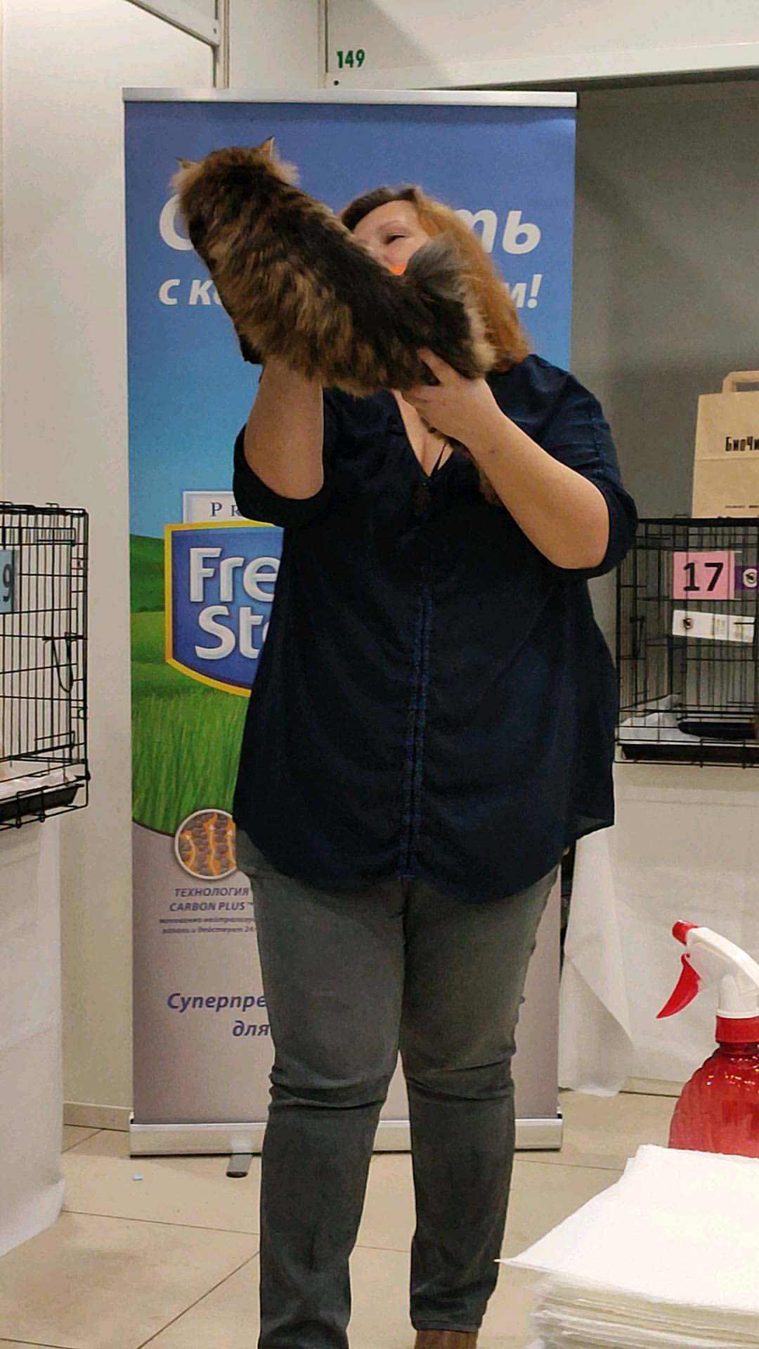 gardemarincat в LOOKY. #icu,#catshow,#kurilian_bobtail,#kurilliancat,#catterycat,#catsofinstagram,#курильский_бобтейл,#питомниккурильскихбобтейлов,#выставкакошек. ShawlsCity Paramount...