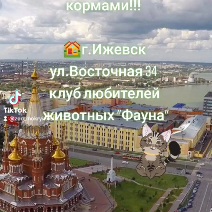 mokryinosik в LOOKY. . Добро пожаловать в г...