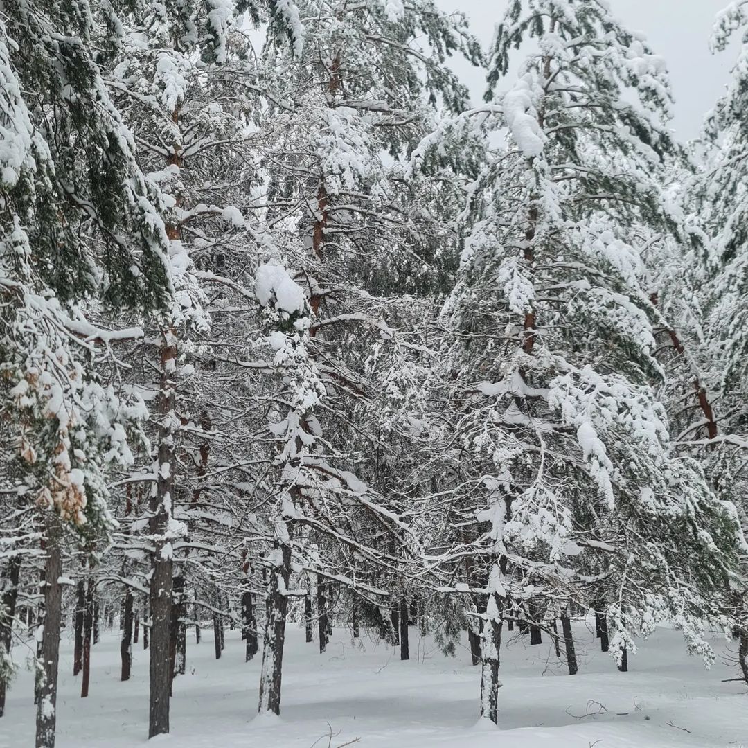 bogodyazh77 в LOOKY — фото 3