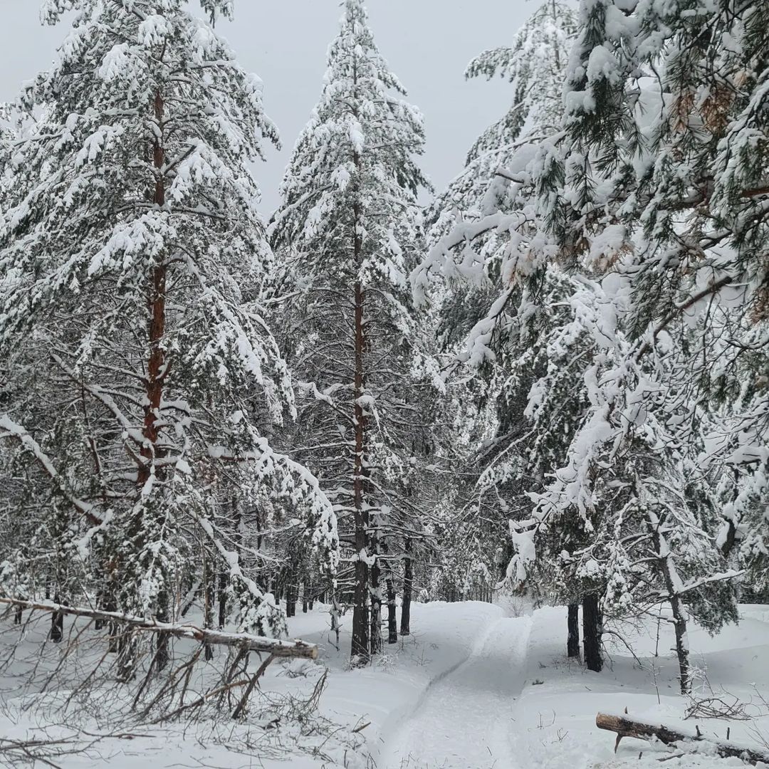 bogodyazh77 в LOOKY — фото 5