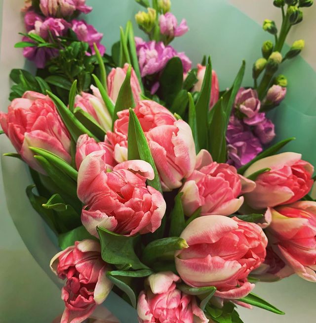 azarika4e в LOOKY. #flowers,#bouquet,#tulips,#hyacinths,#makinglifebetter,#goodmood,#springiscoming,#brightcolors,#pink,#purple,#green,#white,#gray,#beautyineverything. Красота! 🌷🌷🌷 Спас...