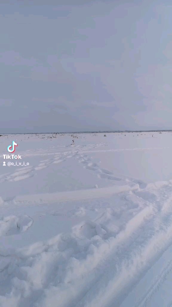 nero_fish в LOOKY. #плотва🐟,#инстаграмнедели,#инстаграм,#fish,#instavideo,#fishing,#reels. Рыба есть...
.
.
..
...