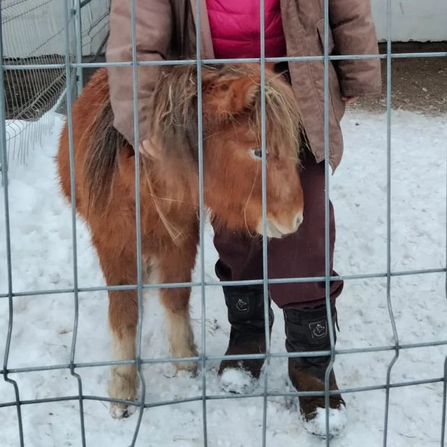 kare_neya в LOOKY. #valentine_equivet. Моя валентинка - Сте...